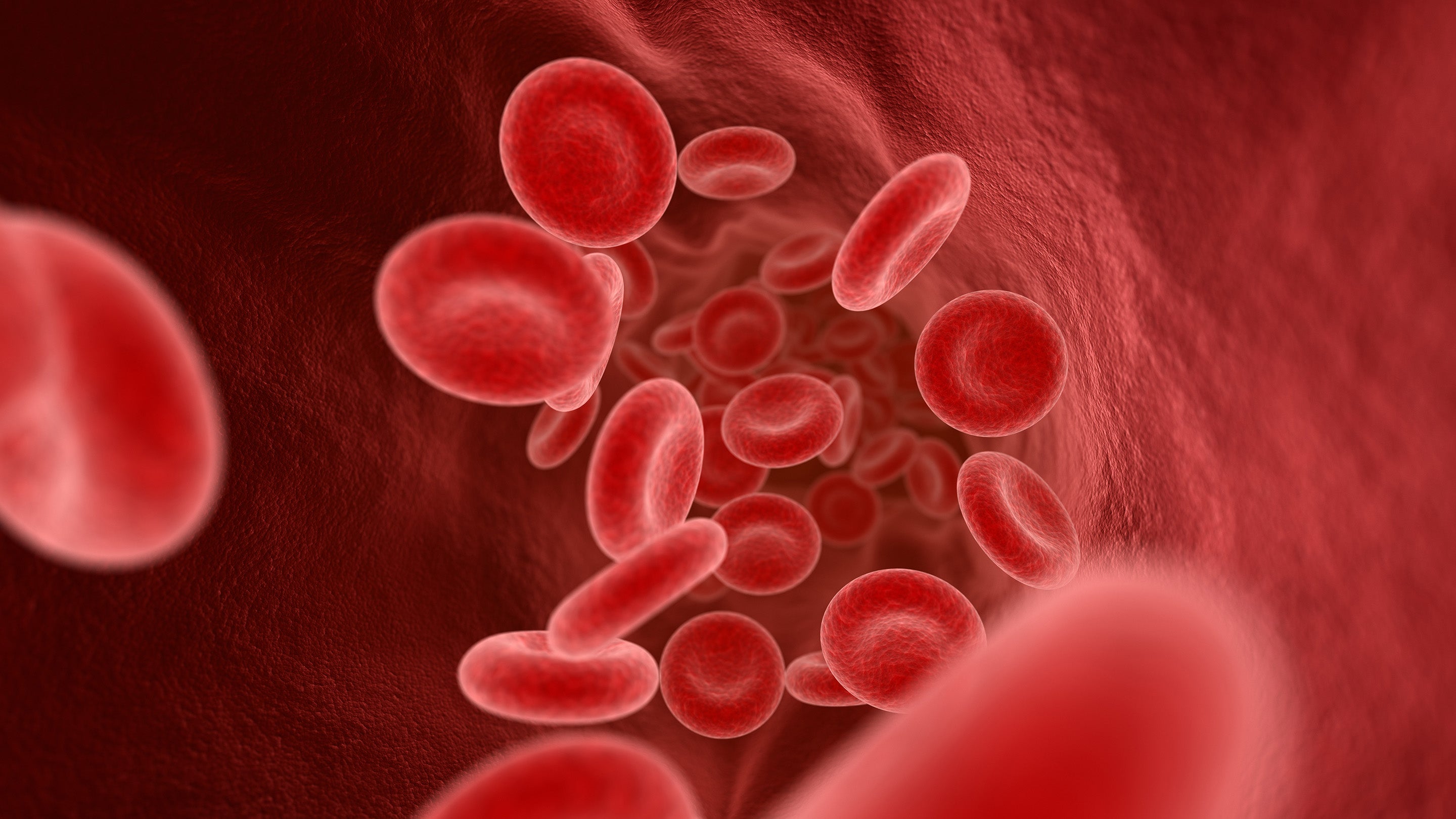 Cells in the body