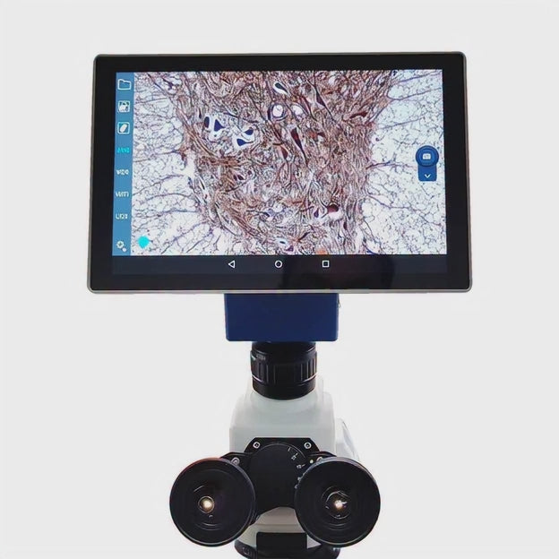 VE-SCOPEPAD300 Microscope tablet with digital camera. – velabco