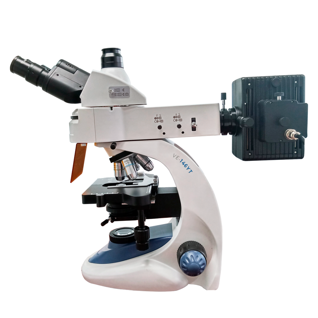 Figura2_1024x.png?v=1614124747