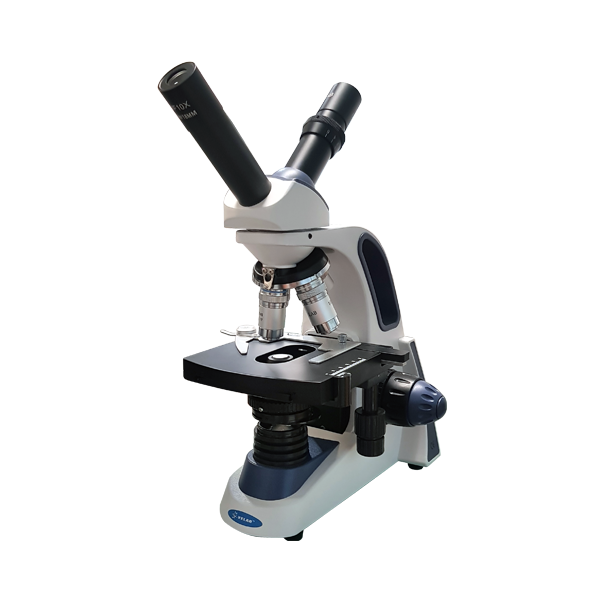 Microscope Parts Not Labeled